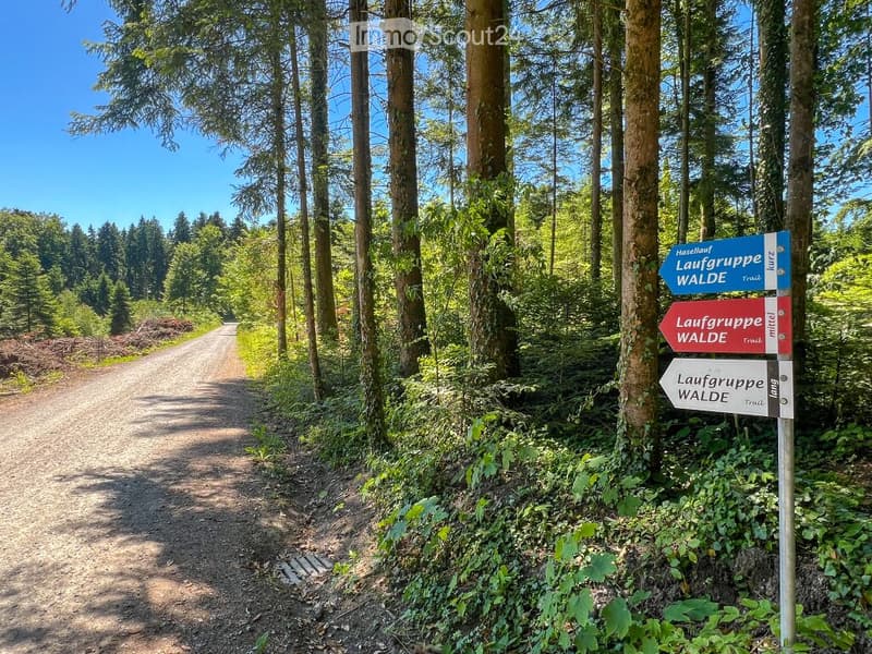 Dirt road through the forest, signpost with Laufgruppe Walde trails
