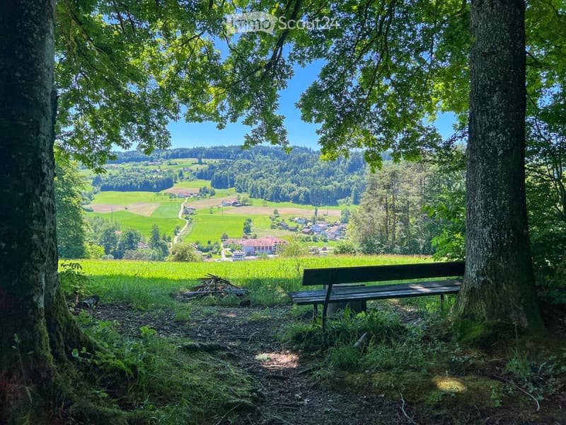 bench, lush green trees, grass, panoramic view of a green valley, distant village