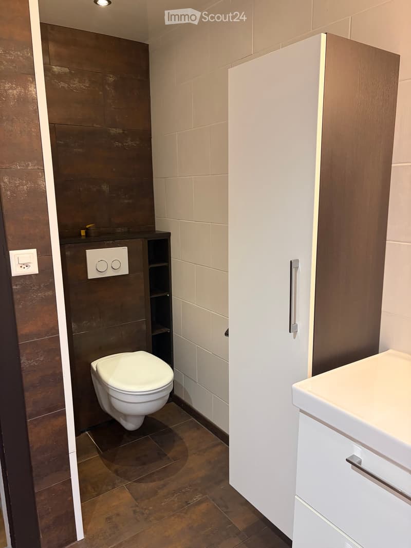 Modern bathroom with a toilet, sink, and built-in cabinet. The walls are tiled in a combination of dark brown and light beige, and the floor is made of dark brown tiles.