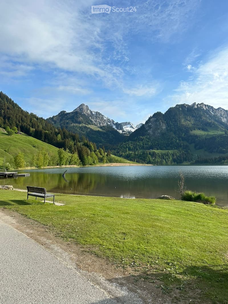 A serene lakeside scene with a wooden bench, calm lake, and mountain backdrop.