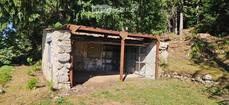 A rustic stone outdoor structure with a wooden roof and open sides, situated in a grassy area surrounded by trees.