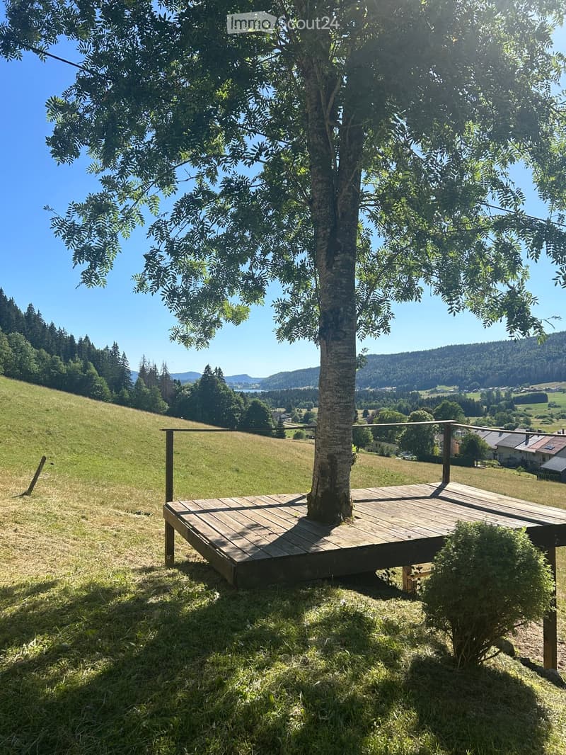 A wooden deck with a tree in the center, surrounded by a grassy field and distant hills under a clear blue sky.