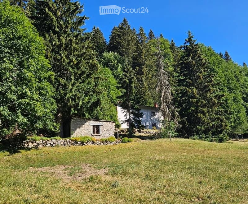 A peaceful garden area with a stone cottage and a white house surrounded by lush green trees and grass.