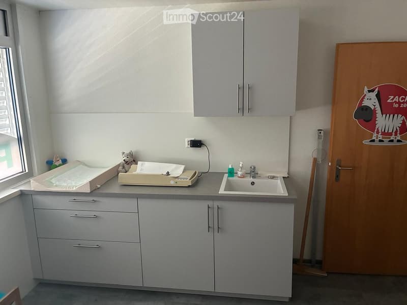Modern bathroom with grey cabinets, a white sink, and a small stool with a toy on top. A sticker of a zebra is on the door.