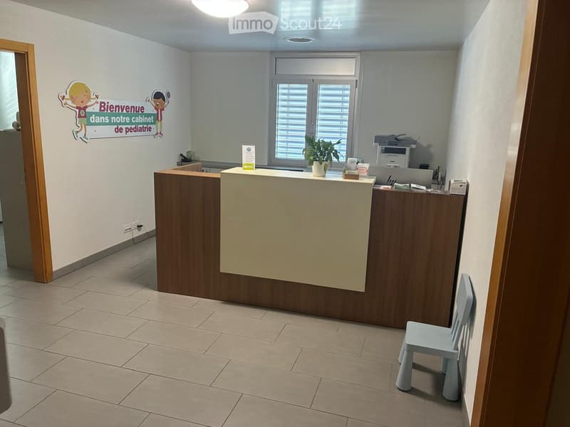 Reception area with a reception desk, a small chair, a potted plant, a printer, and a screen on the desk.