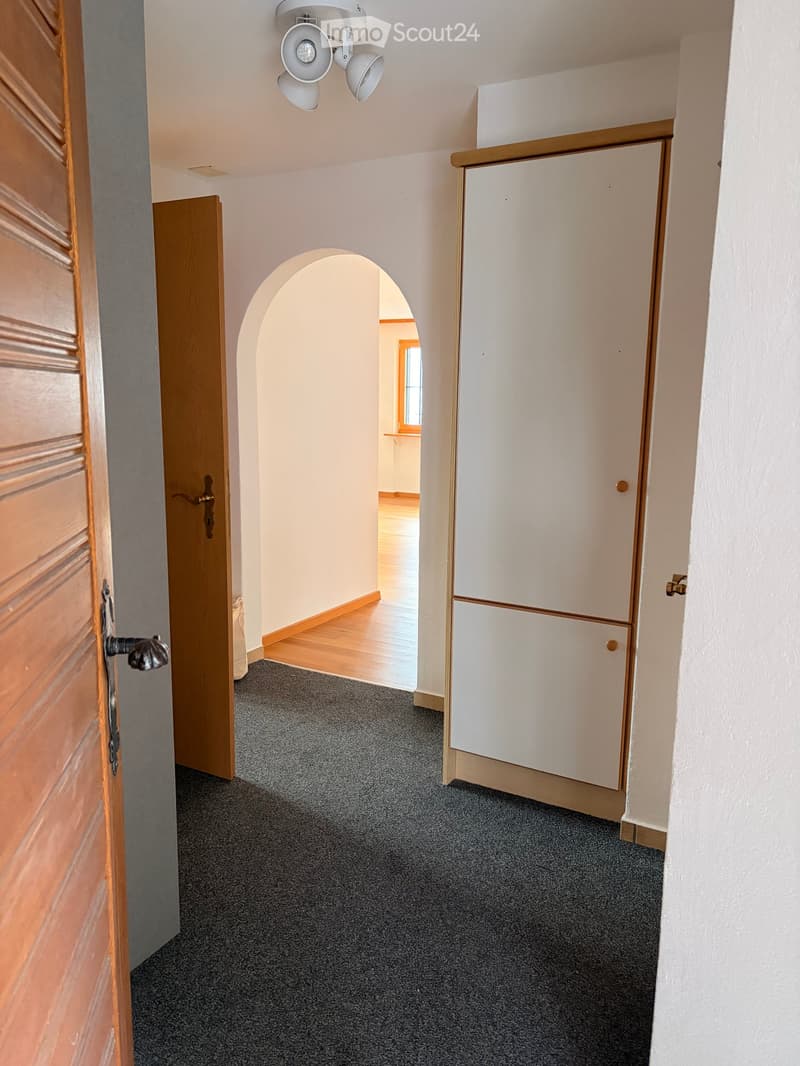 Empty hallway with grey carpet, white walls, wooden door, and built-in white cabinet with brass trim. An arched opening leads to another room with wooden flooring.