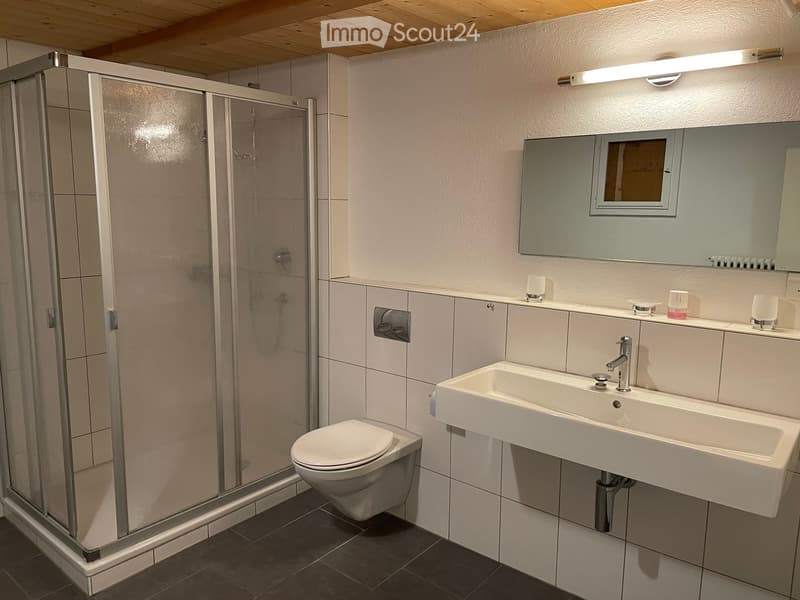Modern bathroom with a white sink, toilet, shower enclosure, and a large mirror above the sink.