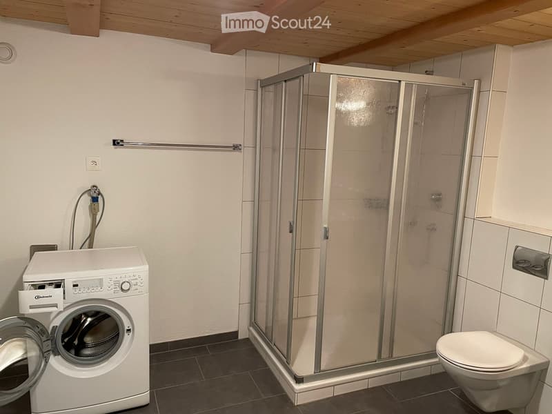 Modern bathroom with a white washing machine, a toilet, and a glass-enclosed shower with a wooden ceiling.