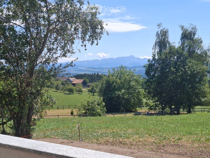 A serene garden with lush green grass, scattered trees, and a distant view of mountains and a small house.