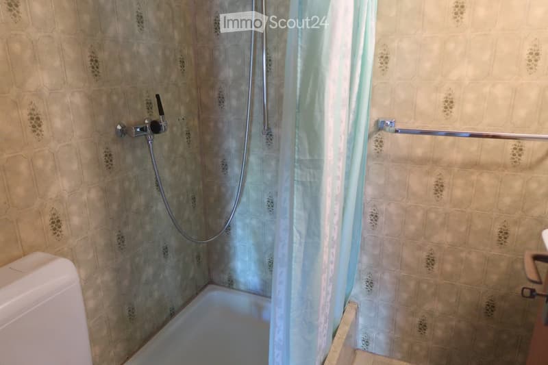 Shower stall with showerhead and towel bar, small bathtub, white toilet.