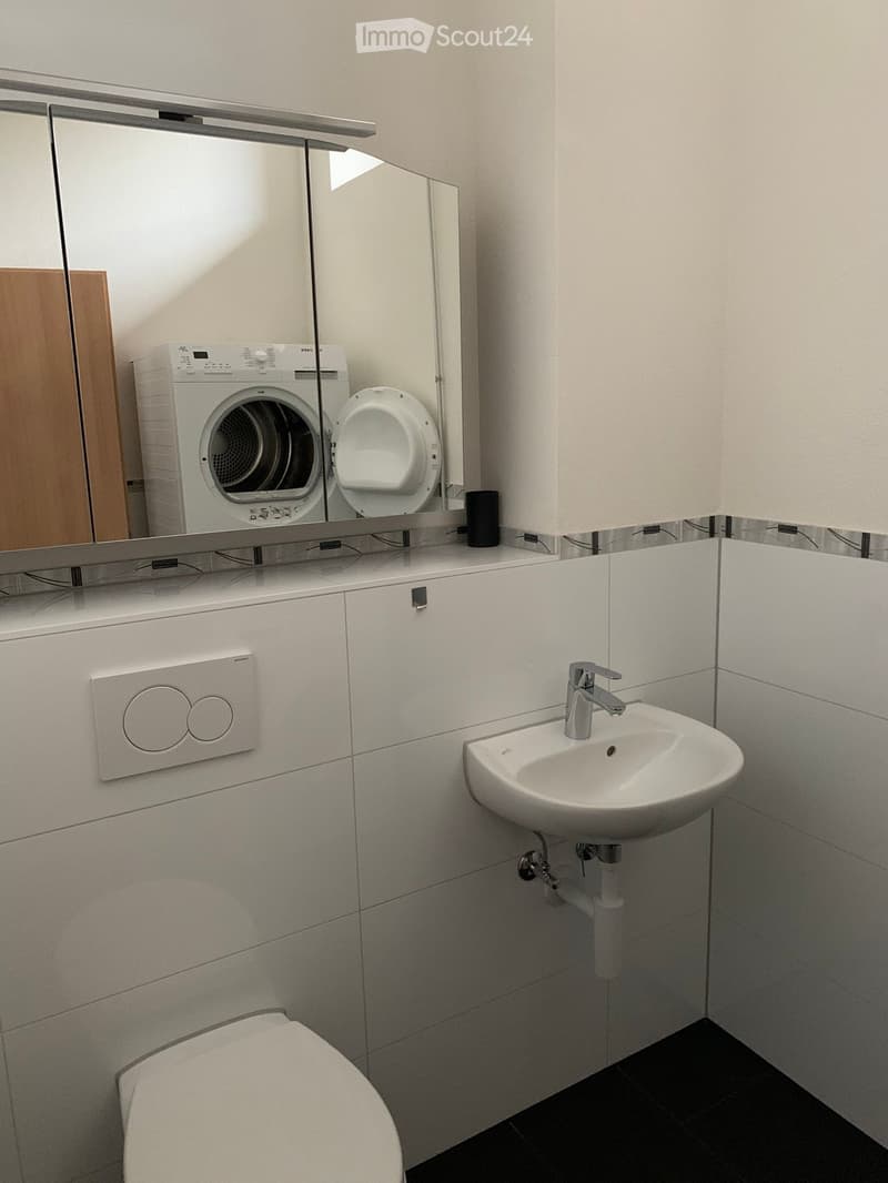 Modern bathroom with a white sink, chrome faucet, toilet, washing machine, and a large mirror above the sink.