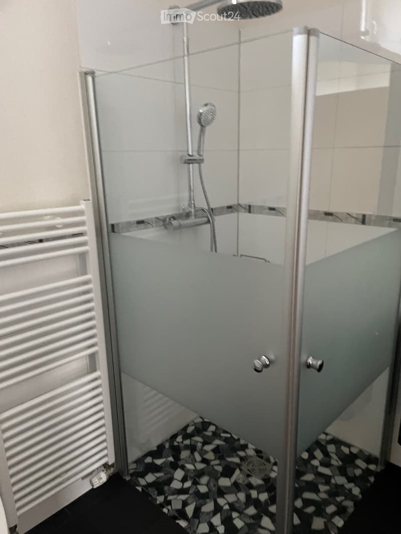 Modern bathroom with a glass-enclosed shower, a handheld showerhead, and a radiator on the wall.
