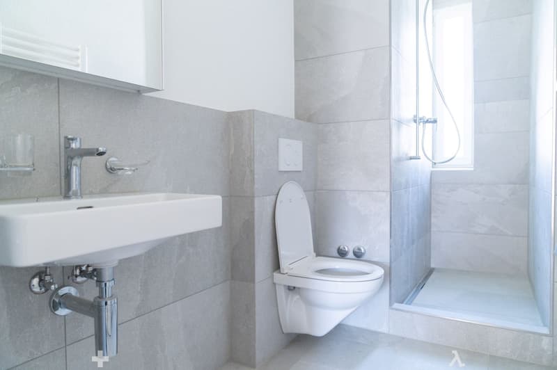 modern bathroom, tiled walls, white fixtures, glass door shower