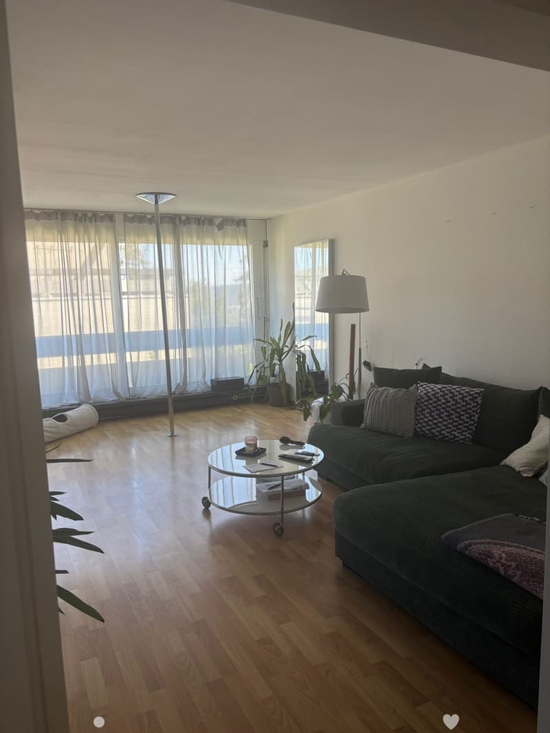 Modern living room with wooden flooring, large windows with sheer curtains, a dark grey sectional sofa with patterned cushions, a round glass coffee table, two floor lamps, and potted plants.