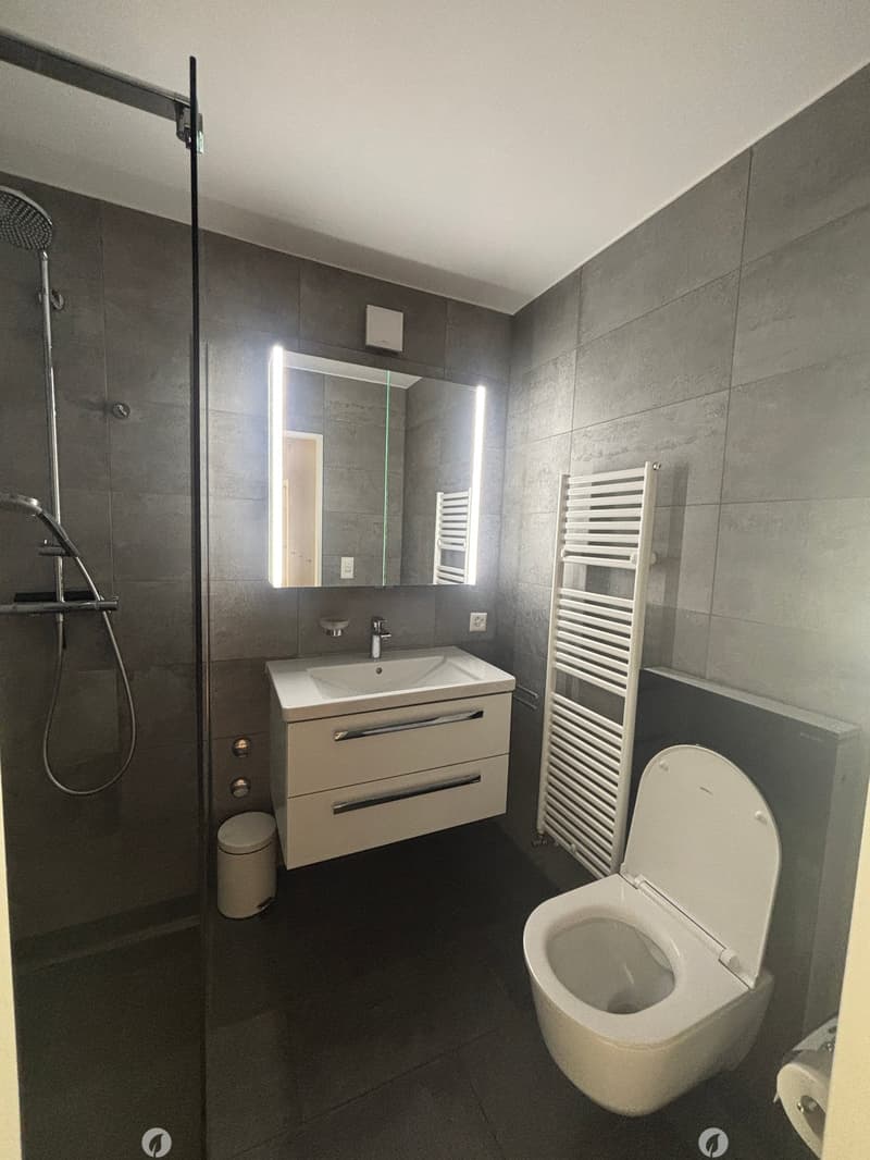 Modern bathroom with dark grey tiles, white sink, toilet, shower, and a radiator. Features a large mirror with built-in lighting.