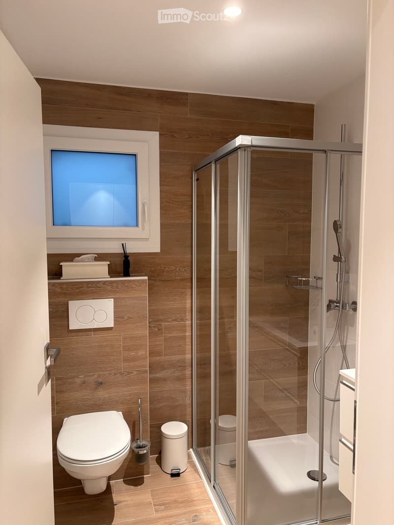 Modern bathroom with wooden walls and floor, featuring a toilet, shower with glass enclosure, and a small window with frosted glass.