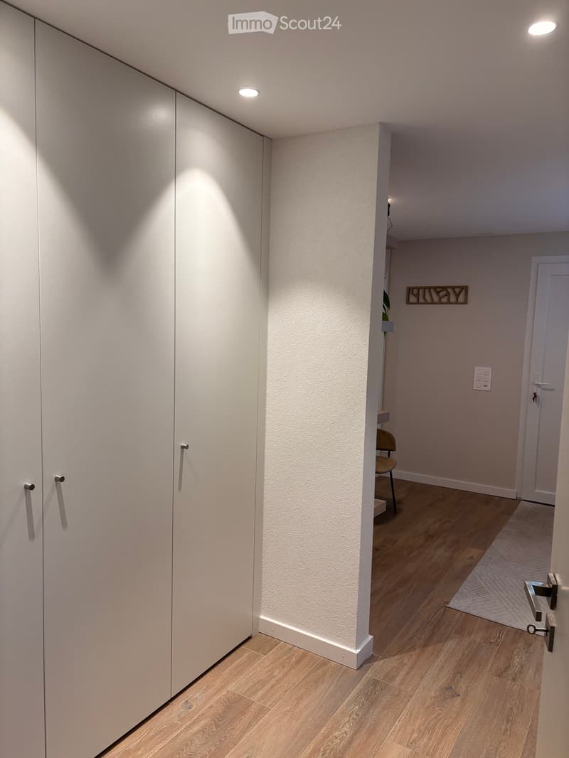 A modern hallway with light wooden flooring, white walls, built-in closet with silver handles, recessed lighting, and a small rug near a door.
