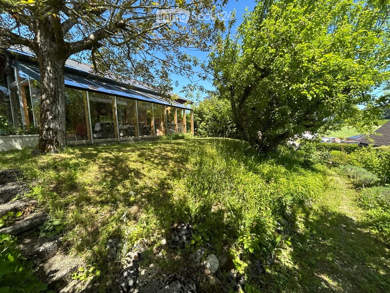 A modern house with a large glass extension, surrounded by a lush green garden with trees and grass.