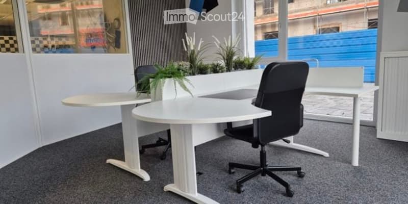 Modern office space with white desks, black office chairs, and a small potted plant on the desk.