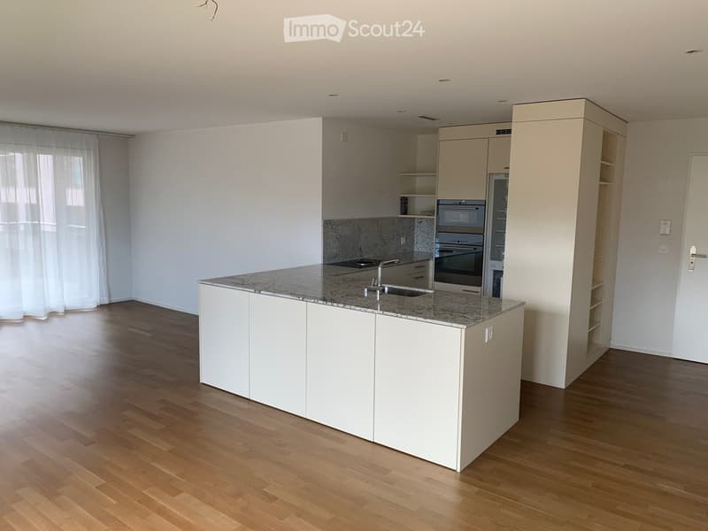 appartamento soleggiato, moderno 3,5 locali, città di SG (1)