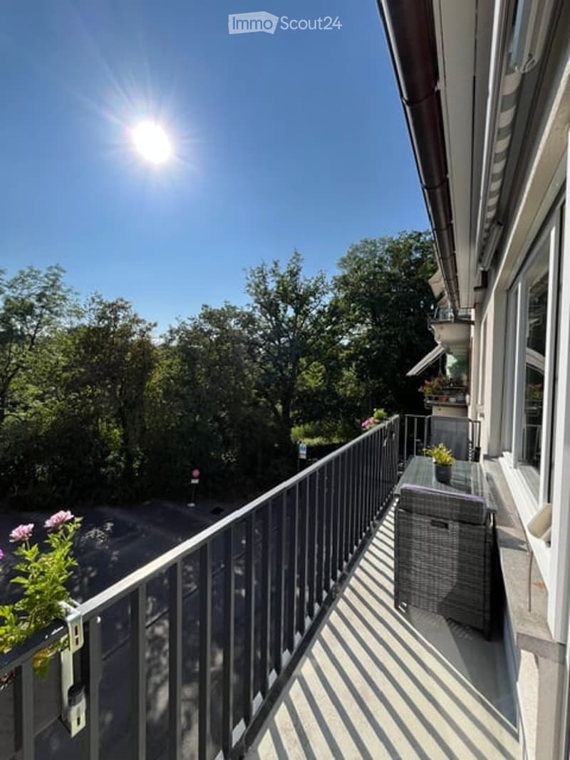 Balcony with metal railing, outdoor furniture including a table and chairs, potted plants, and a view of trees and a street below.