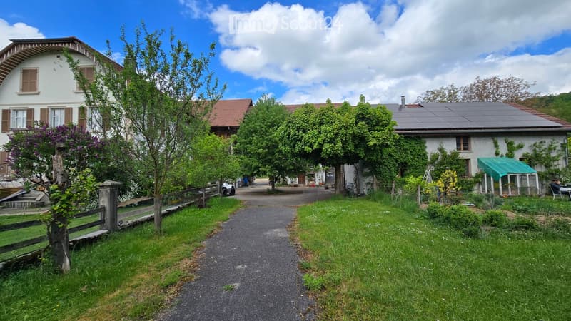A rural house with a solar panel roof, surrounded by greenery and trees, with a gravel pathway leading to the entrance.