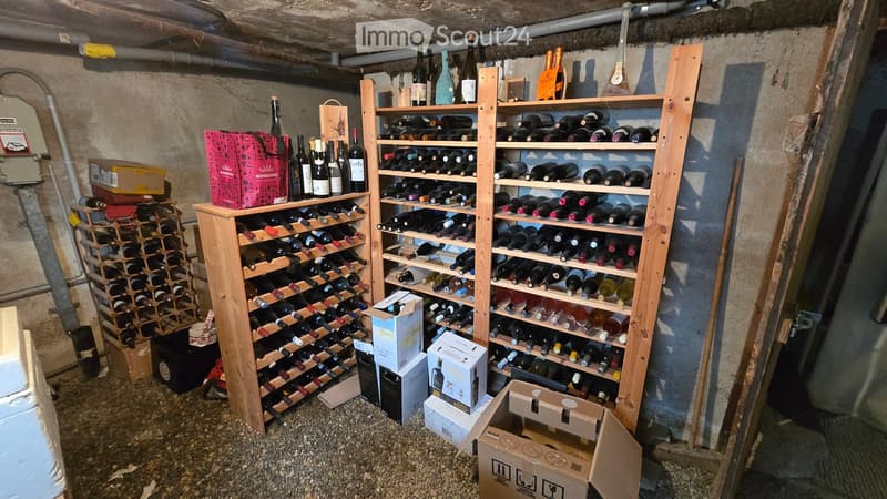 Wine cellar with multiple wooden racks filled with wine bottles, cardboard boxes, and a pink handbag on top of one rack.