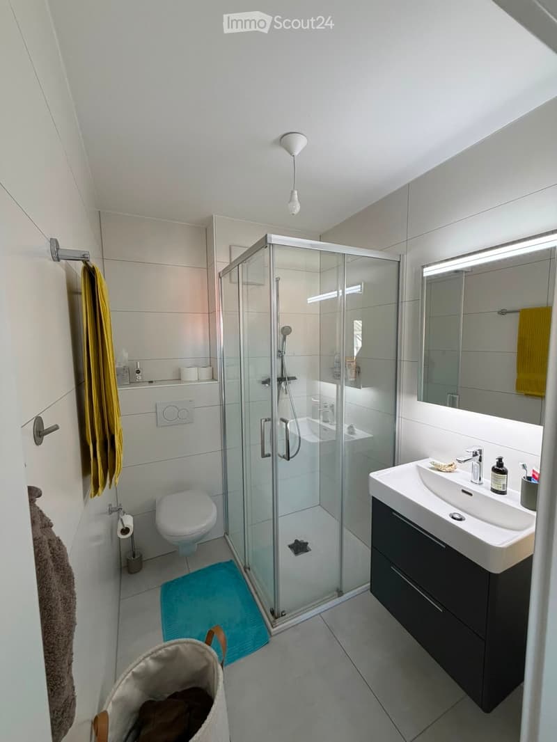 Modern bathroom with a glass-enclosed shower, toilet, sink with a mirror, and a dark-colored cabinet. The space includes a yellow towel, a blue bath mat, and a light fixture on the ceiling.