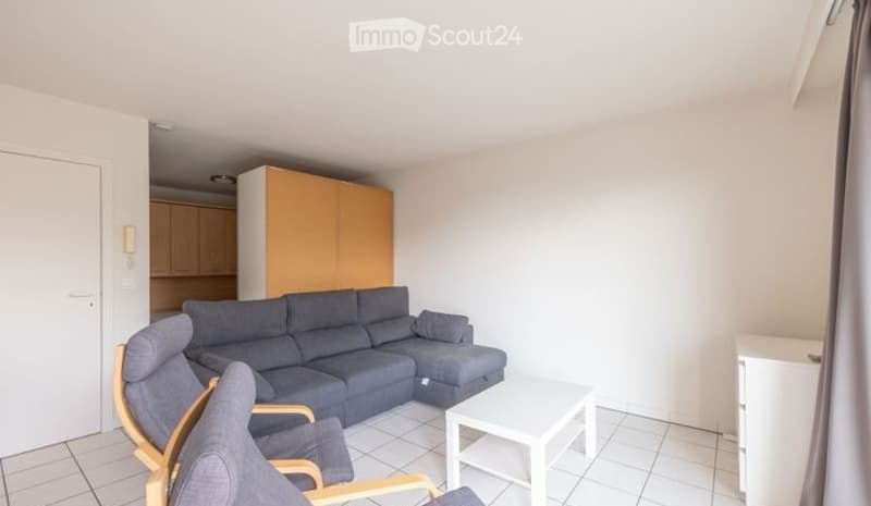 A modern living room with a grey sectional sofa, a white coffee table, two wooden chairs, and a light wooden cabinet in the background.