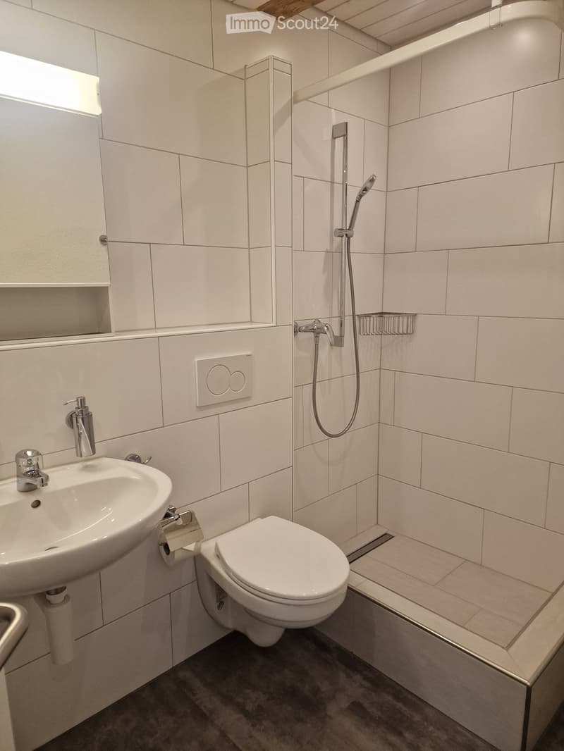 Modern bathroom with white tiles, a sink, toilet, shower, and a mirror. Features a sleek design with a built-in shelf and a soap dispenser.