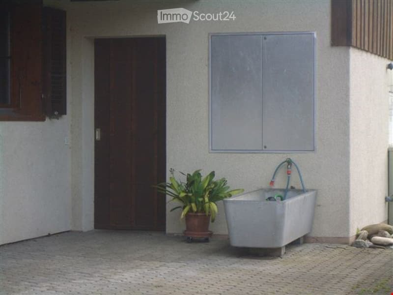 Outdoor area with a potted plant, a metal bathtub, and a closed wooden door.
