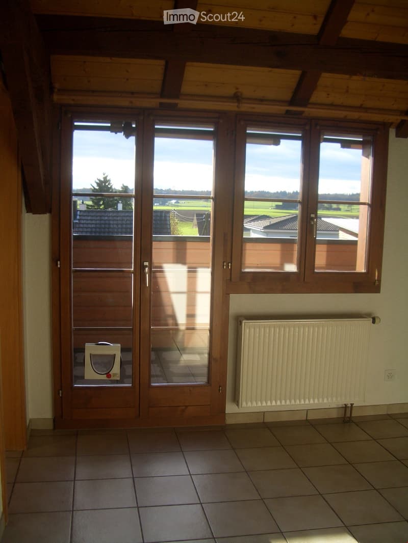 Empty room with tiled floor, wooden double doors, large windows, radiator, and a pet door.