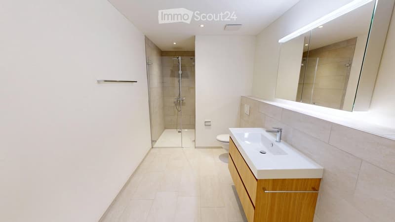 Modern bathroom with a white sink, large mirror, toilet, and a glass-enclosed shower area.