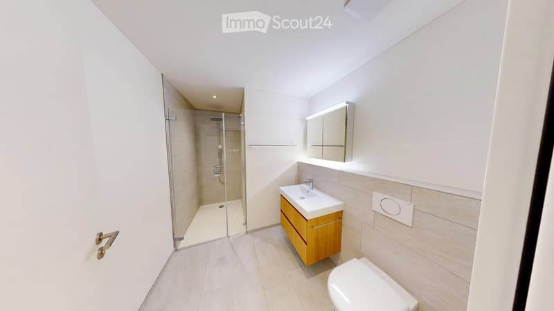 Modern bathroom with a white sink, wooden cabinet, toilet, mirror, and glass-enclosed shower area.