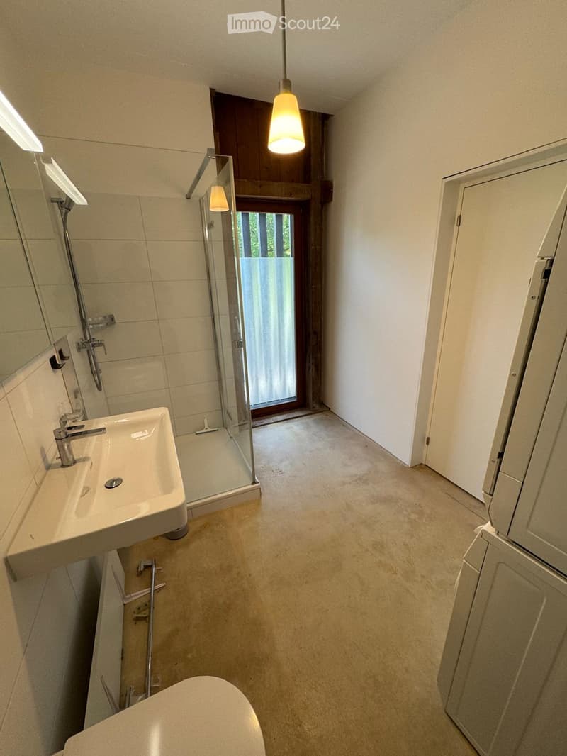 Modern bathroom with a sink, bathtub, glass-enclosed shower, and a mirror. Features a hanging light fixture and a door leading outside.