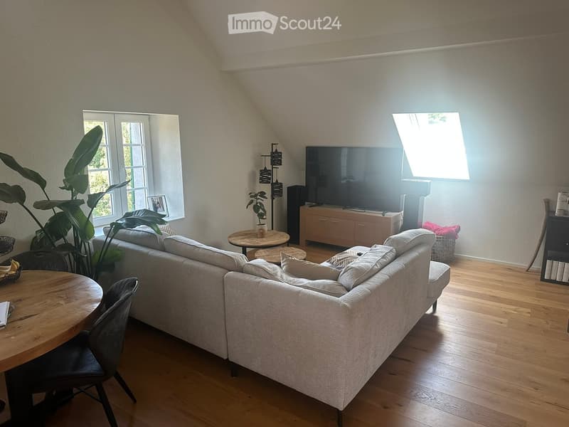 Bright living room with wooden flooring, large windows, grey sofa, coffee table, TV, and plants.