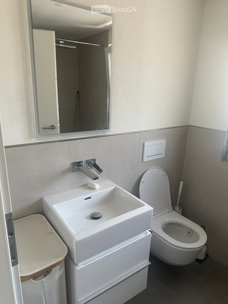 Modern bathroom with a white sink, chrome faucet, toilet, mirror, and cabinet. The sink has a soap dispenser and a soap bar on it.