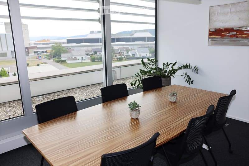 Conference room with a long wooden table, black chairs, small potted plants, and large windows overlooking an outdoor area.