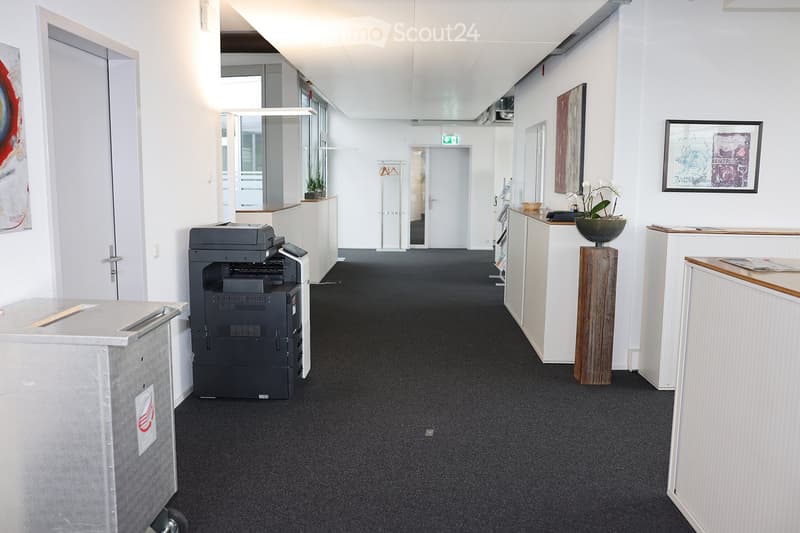 Office hallway with white walls, grey carpet, and modern decor including artwork, potted plants, and a printer.