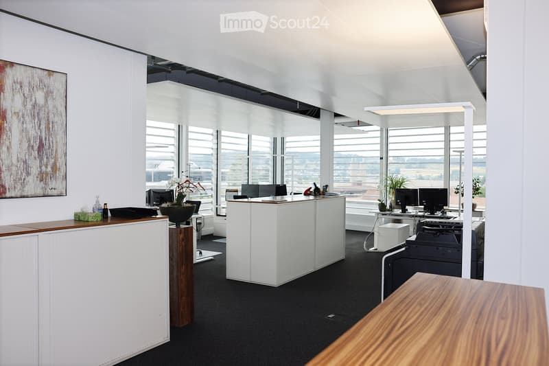 Modern office space with white walls, large windows, desks, chairs, computers, and a printer. Features a reception area with a wooden reception desk and a potted plant.