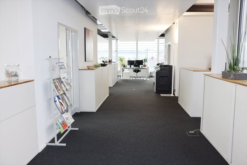 Modern office space with white walls, dark carpet, desks, chairs, computers, a printer, and plants.