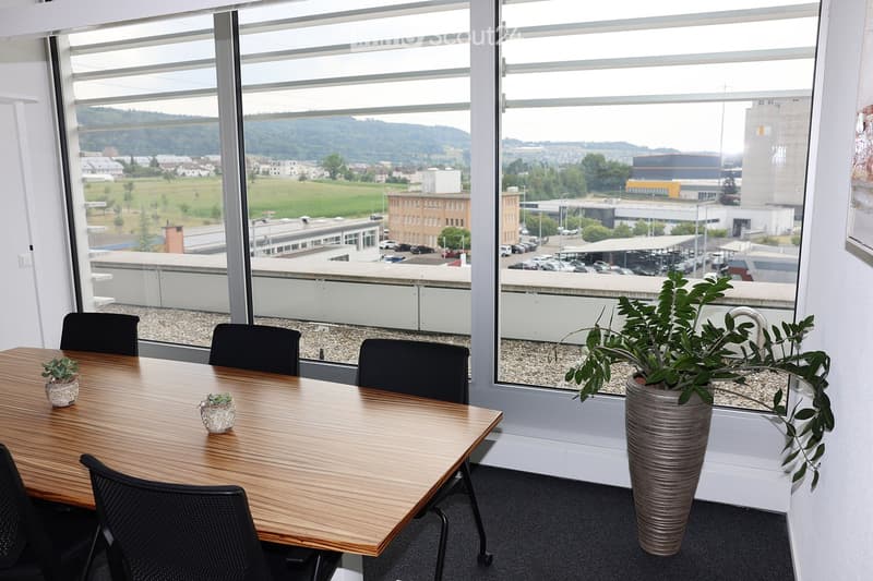 Modern office space with large windows offering a scenic view, a wooden conference table surrounded by black chairs, and decorative potted plants.