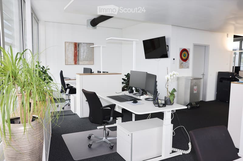 Modern office space with white desks, black chairs, multiple computer screens, and decorative plants.