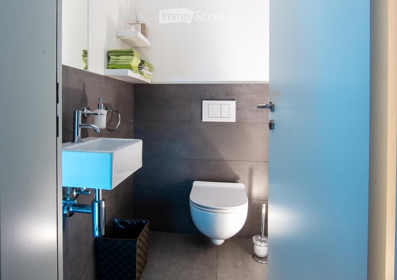 Modern bathroom with a white toilet, a light blue sink, a chrome faucet, and neatly arranged towels on shelves.
