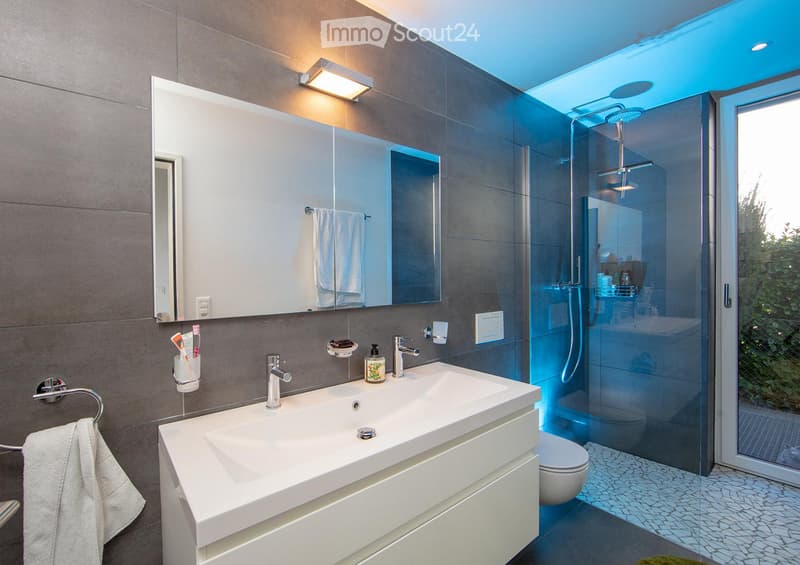 Modern bathroom with a large sink, mirror, and a glass-enclosed shower. Features include a towel rack, toothbrush holder, and a sleek design with grey tiles.