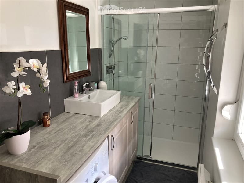 Modern bathroom with a white sink, mirror, glass shower enclosure, and a potted orchid on the counter.