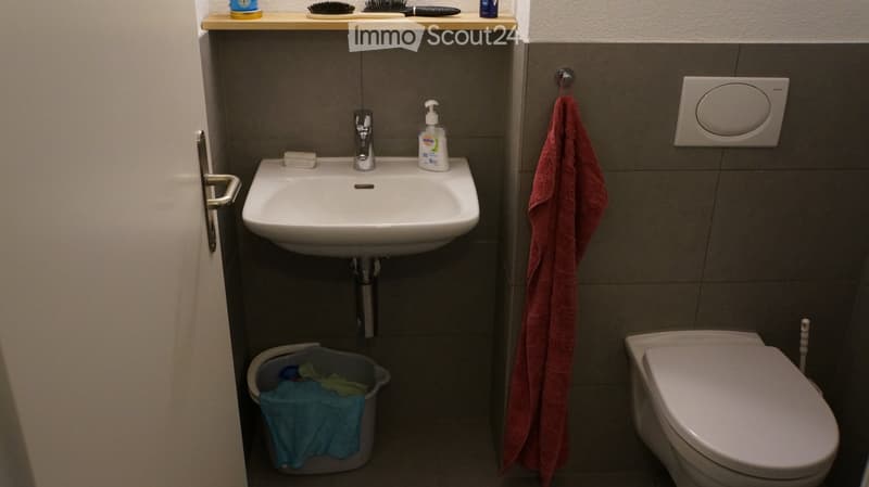 Appartamento mansardato moderno a Neuenegg (6)