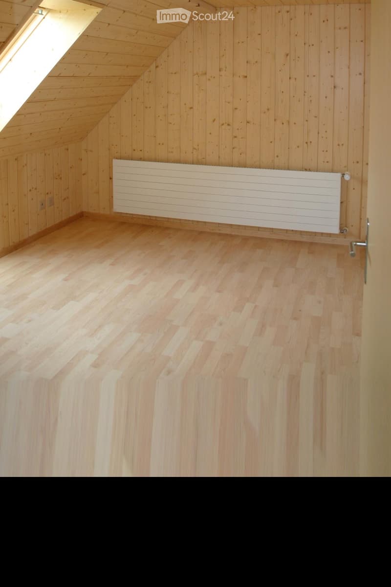 Empty attic room with wooden walls, wooden floor, and a white radiator. The room has a skylight window and a door.
