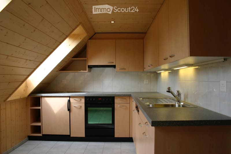 Modern kitchen with wooden cabinets, stainless steel sink, and built-in oven. Features a skylight window and sleek countertops.