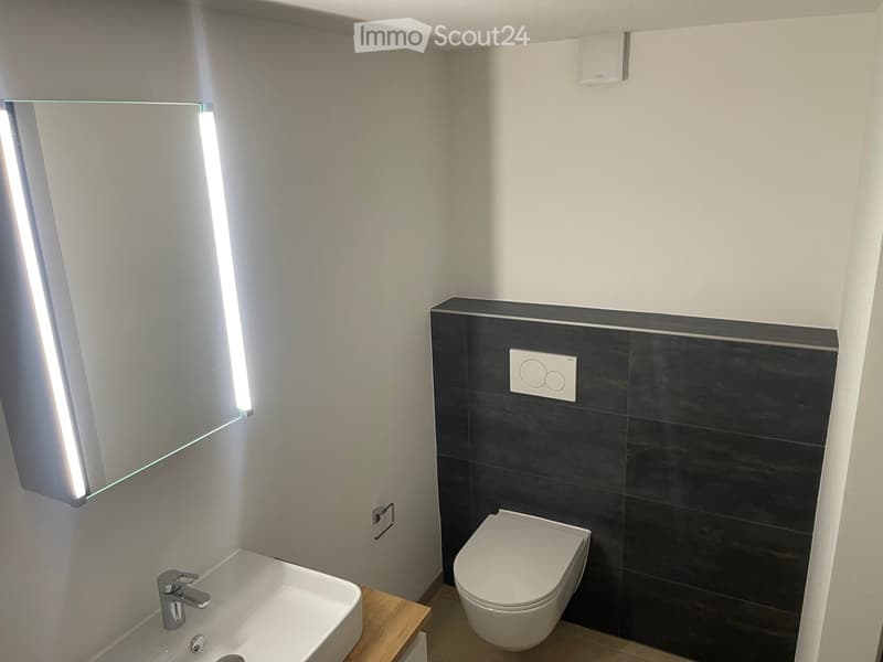 Modern bathroom with a white sink, chrome faucet, toilet, and large mirror. Dark tiled wall accents and a wooden shelf beneath the sink.